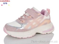 GFB-Канарейка D763-13 фото