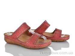 Xifa XF01-19801-1 фото