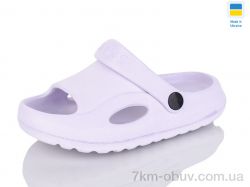 SANLIN 2 H9 бузок фото