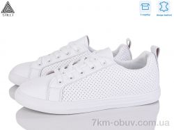 STILLI Group XB240-1 шкіра фото