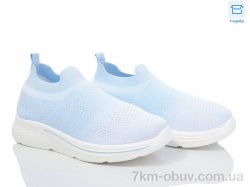 Moli L35-1 піна фото