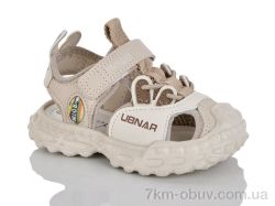 Lilin C65-7 фото