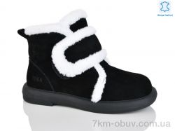 Teetspace-Trasta-Egga WMP1117-2 фото