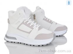 Baolikang G23-2 фото