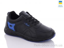 Swin 1013-3 фото