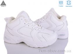 STILLI Group N200-16 шкіра фото