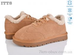 ITTS HY077-20 фото