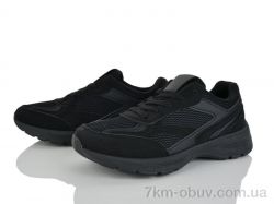 Loretta K561 фото