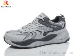 ROYYNA 108MB grey фото