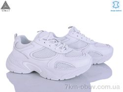 STILLI Group T10-1 шкіра фото