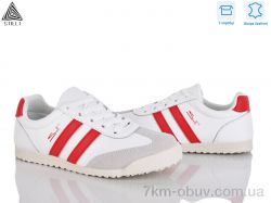 STILLI Group ZH10-3 шкіра фото