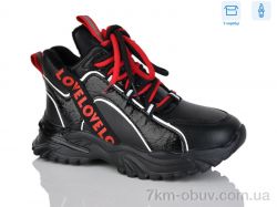 SANLIN 61-6-6307DY фото