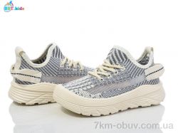 BBT F580-2-5 фото