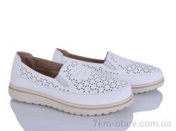 Lion-Lu 2024-54 фото