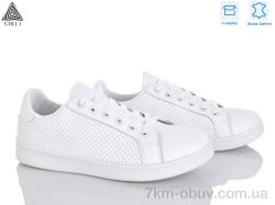 STILLI Group S40-2 шкіра фото