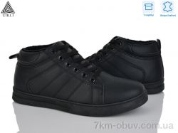 STILLI Group LP50-2 шкіра фото