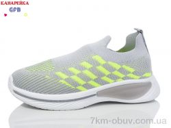 GFB-Канарейка X8033-4 фото