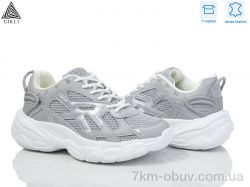 STILLI Group CX800-5 шкіра піна фото