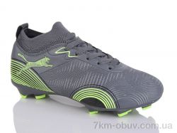 ASHIGULI 508B фото