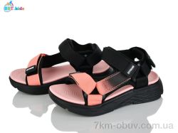 BBT L851-2-6 фото