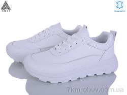 STILLI Group XG50-1 шкіра фото