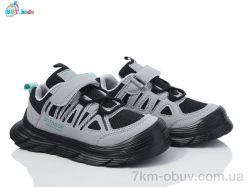 BBT H509-3-3 фото