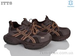 ITTS NB906-2 фото