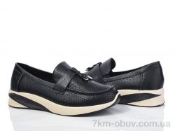 Loretta E500-2 фото