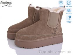 Dageni OQ005-4 фото