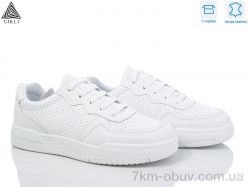 STILLI Group AD380 шкіра фото