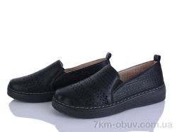 Lion-Lu 2024-30 фото