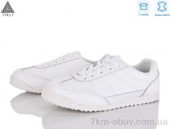 STILLI Group ZH50-1 шкіра фото