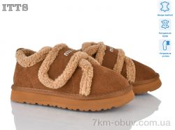 ITTS Q299-45 фото