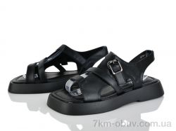 Loretta E731-1 фото