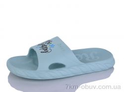 Inblue DS68 зелений фото