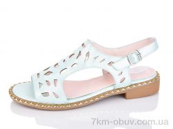 SANLIN 6-81C фото