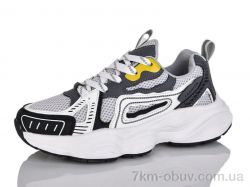 Ditof B0068-2 фото