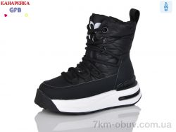 GFB-Канарейка F2625-1 фото