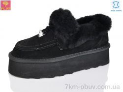 PLPS 5803 black фото