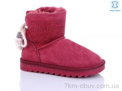 Waldem W1-100 gloreta фото