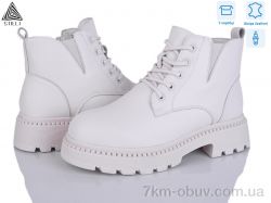 STILLI Group E80-2 шкіра фото