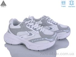 STILLI Group S300-3 шкіра фото