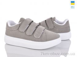 Lvovbaza B&R126  сірий фото