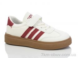 ASHIGULI 2013-7 фото