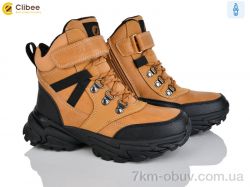 Clibee HC357 camel-black фото