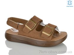 Lilin A117-9 фото
