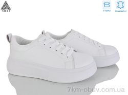 STILLI Group AB70 шкіра фото