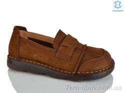 Teetspace-Trasta-Egga WDP2036-5 фото