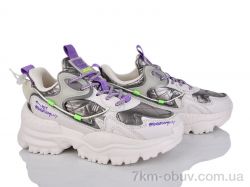 FG L1680-25 фото