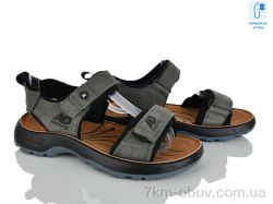 KIMBOO T610-4L фото